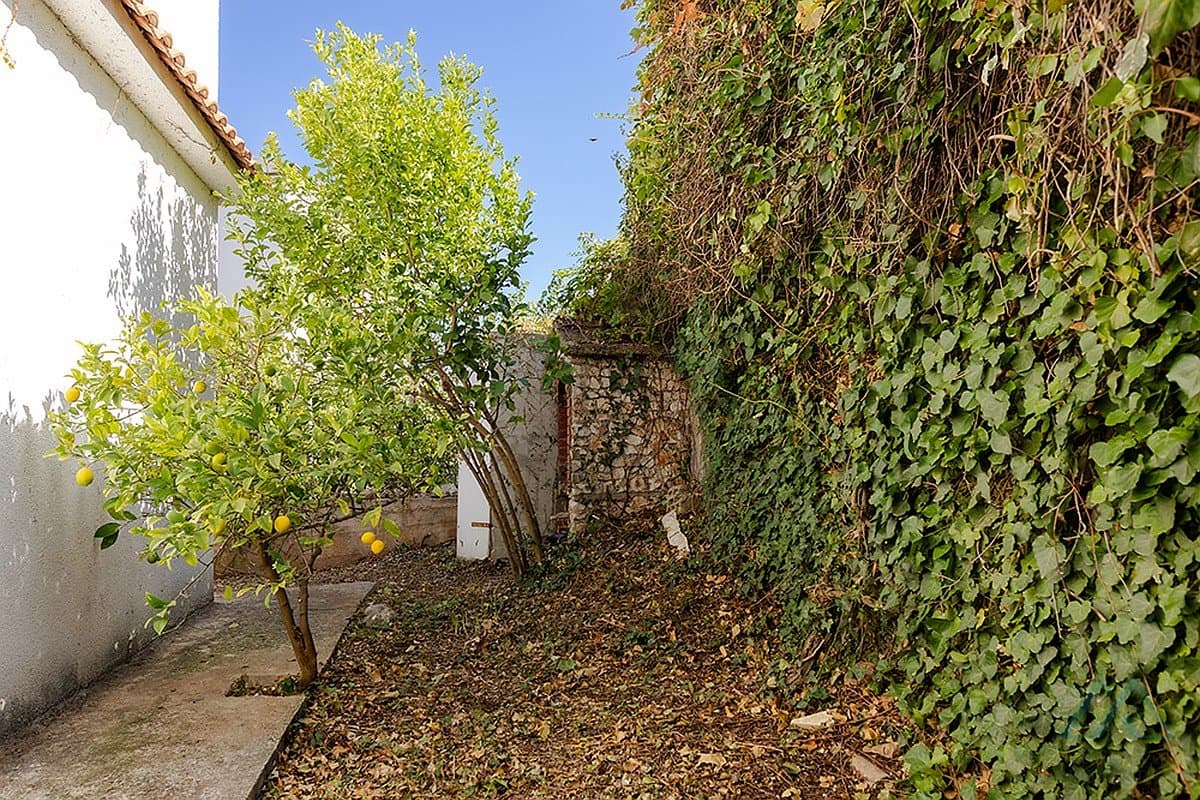 Rekreační dům u moře - ostrov Čiovo, první linie, výhled na moře - foto 17