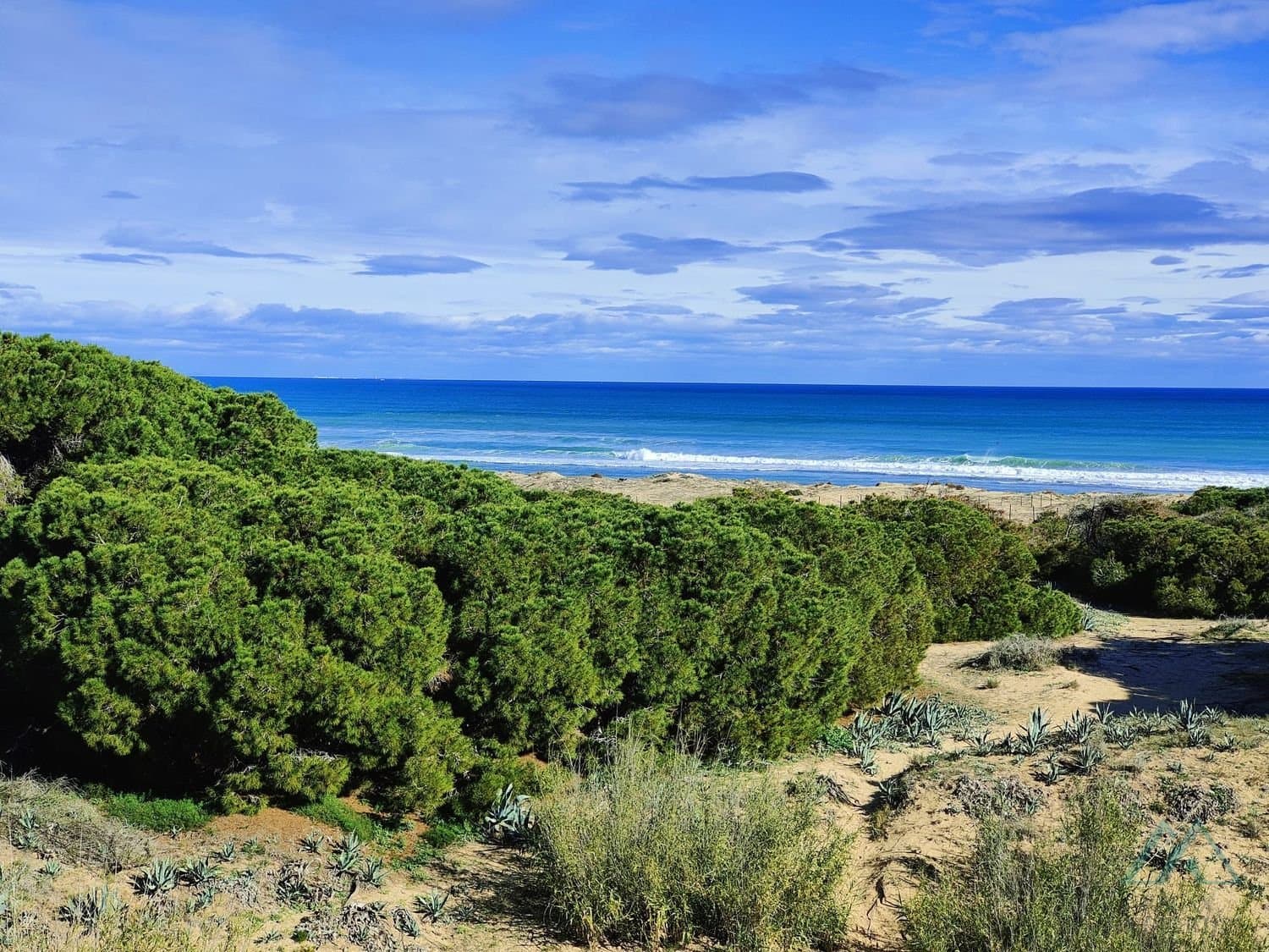 Apartmán s bazénem a terasou jen 150 m od pláže La Mata, Torrevieja - foto 19