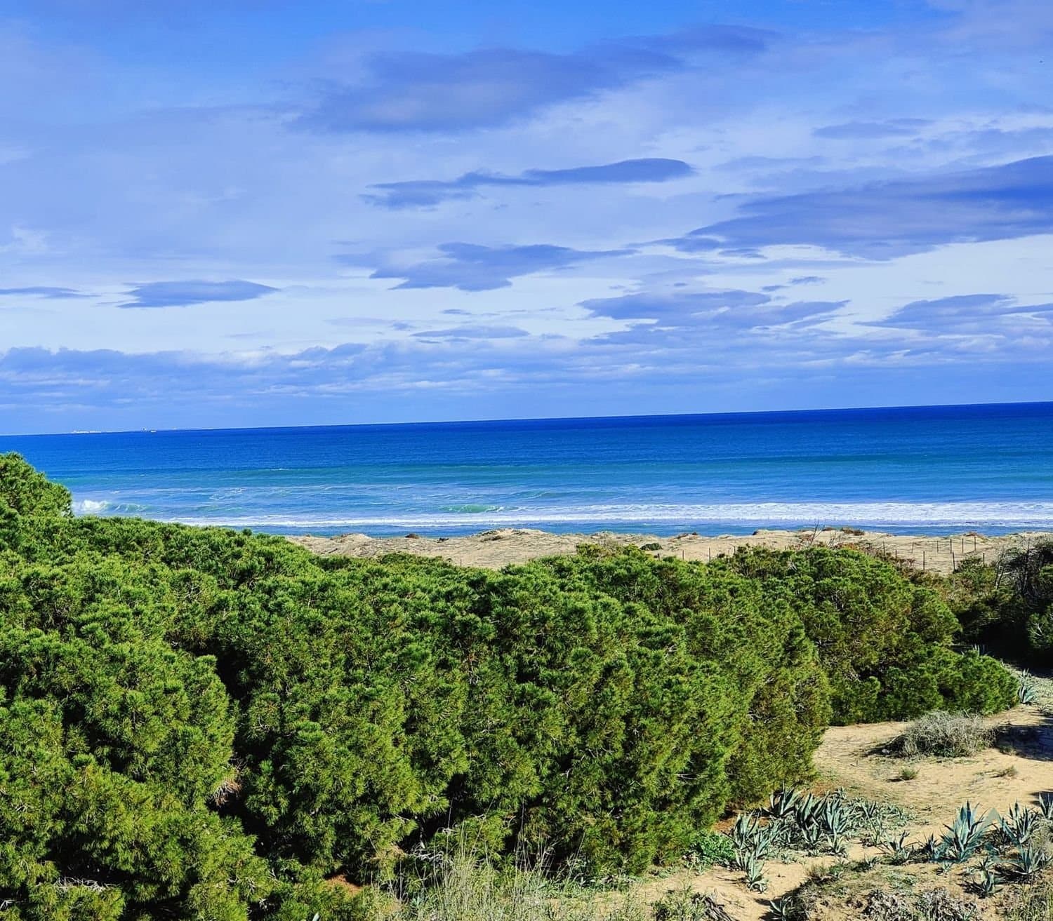 Apartmán s bazénem a terasou jen 150 m od pláže La Mata, Torrevieja - foto 21