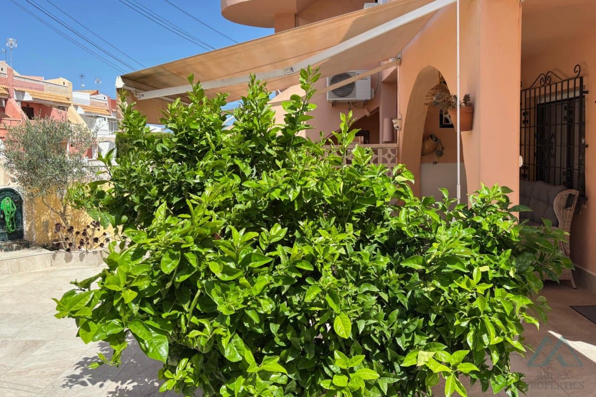 Apartmán s velkou zahradou – La Rosaleda, Torrevieja - foto 20